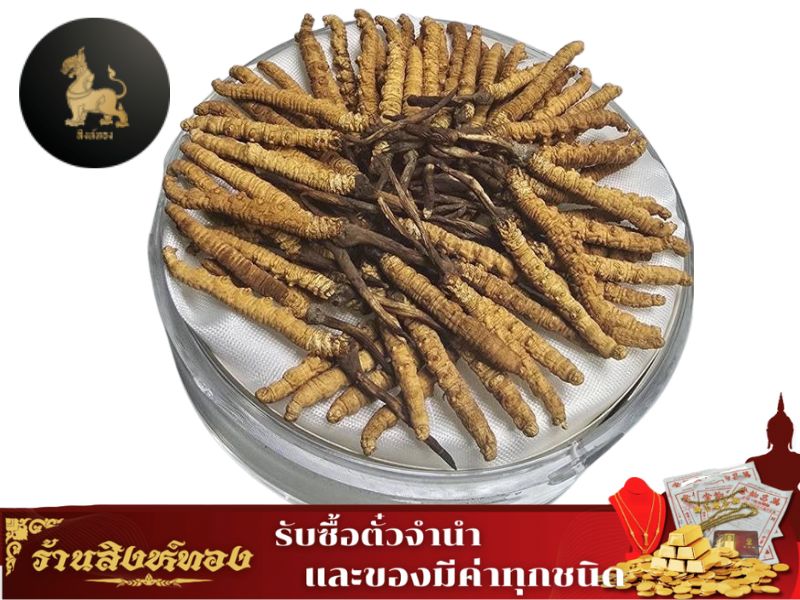 รับซื้ถังเช่า