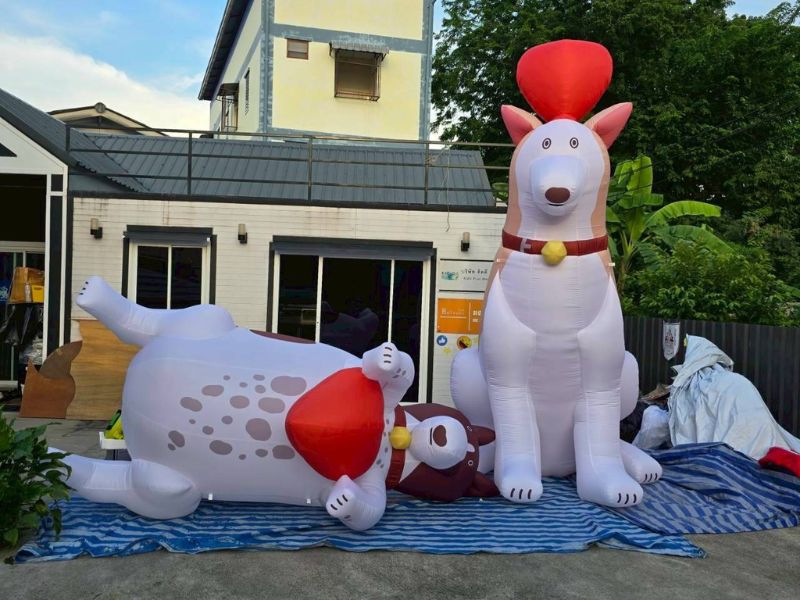 เช่าบอลลูนยักษ์ ราคาถูก