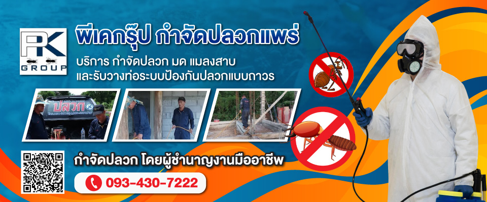 รับกำจัดปลวกแพร่ พีเคกรุ๊ป