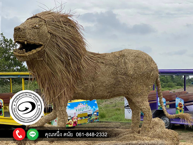 งานพ่นโฟมใส่หุ่นฟางสิงโต ช่วยป้องกันไม่ให้ฟางพัง ปทุมธานี