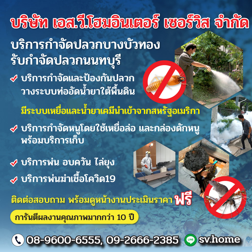 กำจัดปลวก บางบัวทอง เอส วี โฮมอินเตอร์