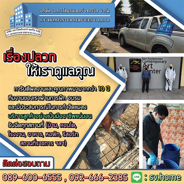 บริษัทกำจัดปลวกบางบัวทอง บริษัทกำจัดปลวกบางบัวทอง