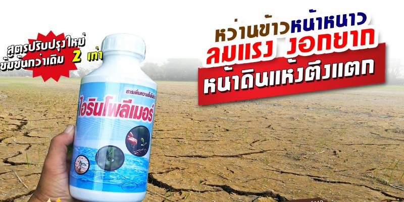 ไอริน-โพลีเมอร์