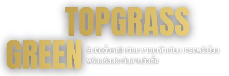 รับติดตั้งหญ้าเทียม กรุงเทพ รับติดตั้งหญ้าเทียม กรุงเทพ
