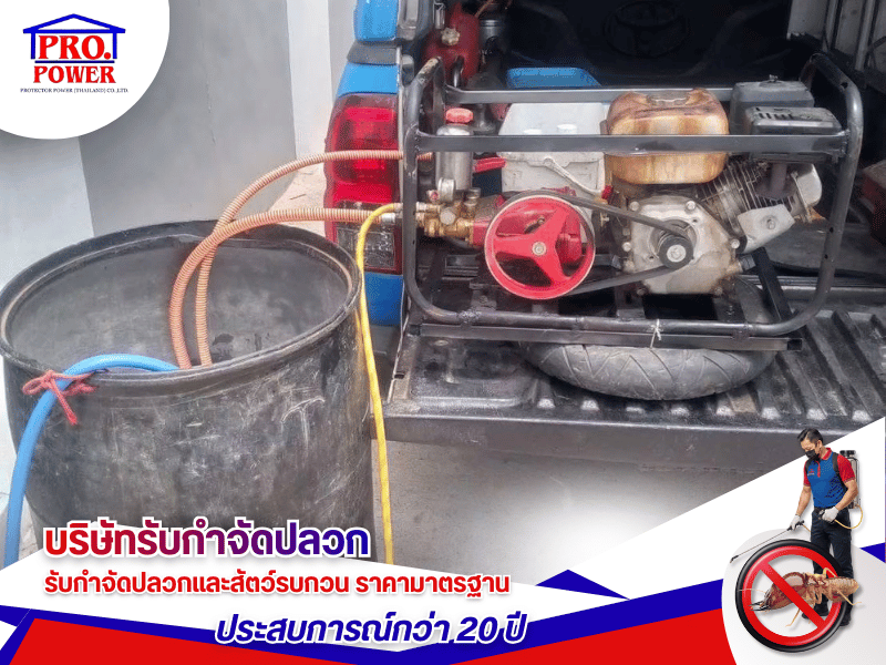 บริษัทรับกำจัดมด แมลงสาบและหนู ศรีราชา พัทยา สัตหีบ