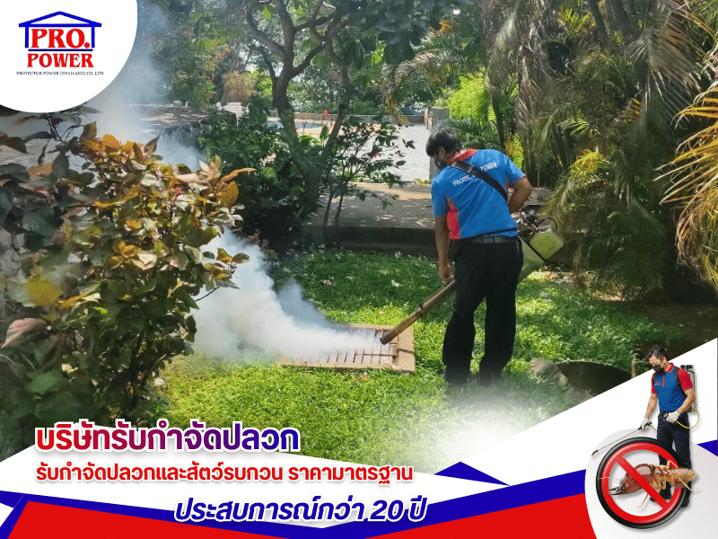 บริษัทรับกำจัดยุงลาย ศรีราชา พัทยา สัตหีบ