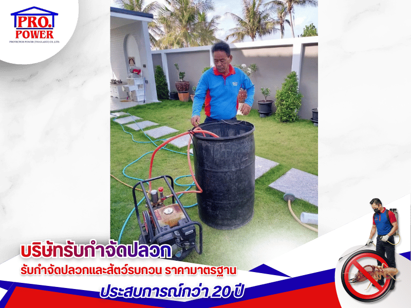 บริษัทรับกำจัดเห็บ หมัด ศรีราชา พัทยา สัตหีบ