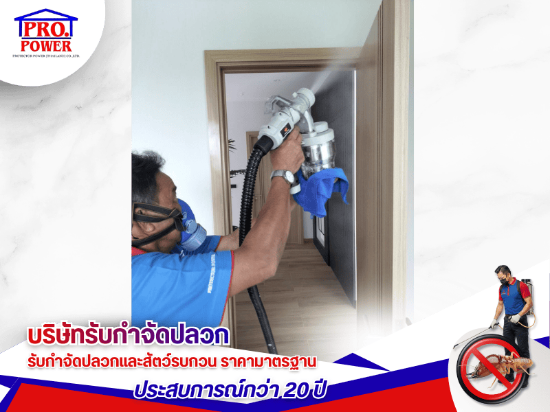 บริษัทรับกำจัดแมลงบินรบกวน พัทยา