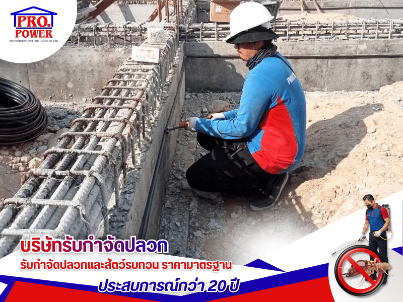 บริษัทรับเหมาวางท่อปลวก ศรีราชา พัทยา สัตหีบ
