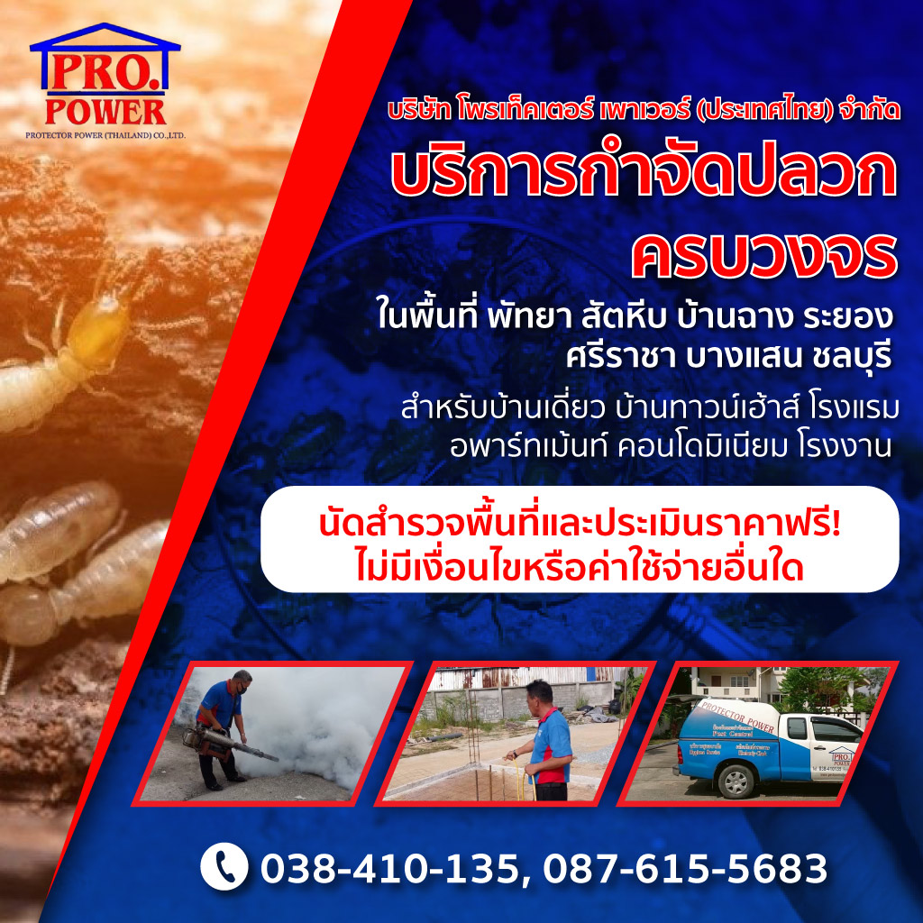 บริการกำจัดปลวกครบวงจร พัทยา