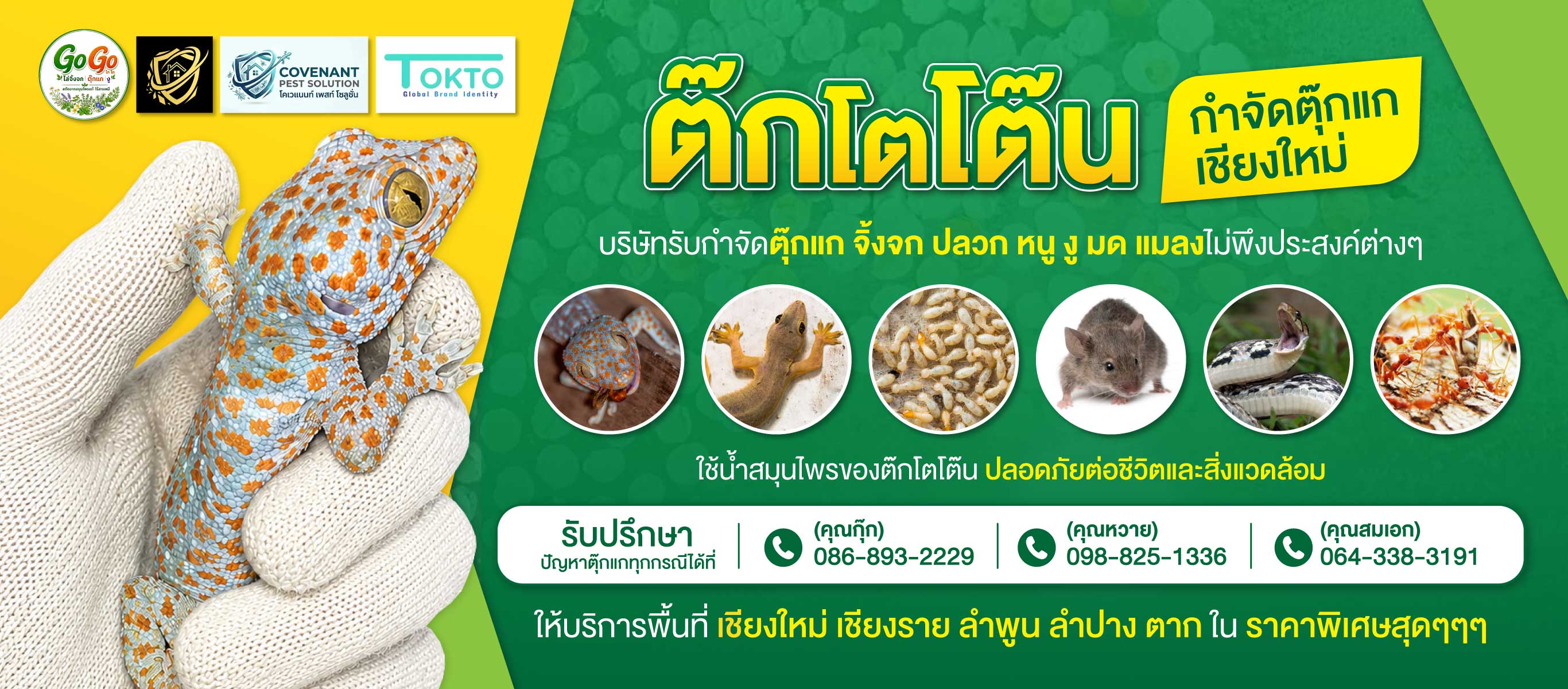 โคเวแนนท์ เพลสท์ โซลูชั่น