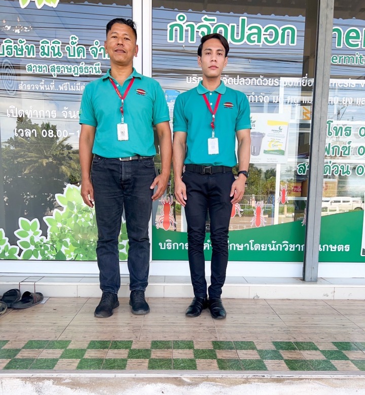 บริษัทรับกำจัดปลวกใกล้ฉัน สุราษฎร์ธานี มินิบั๊ค