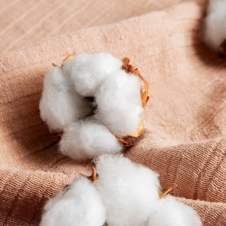 ผ้าฝ้าย-(Cotton)-คืออะไร-มีกี่-ประเภท