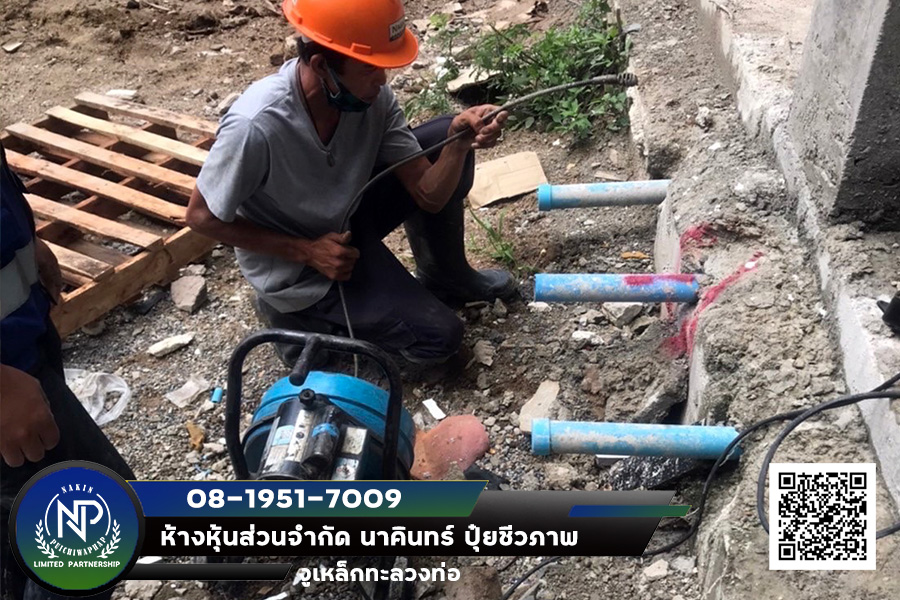 งูเหล็กทะลวงท่อ เชียงใหม่ ลำพูน