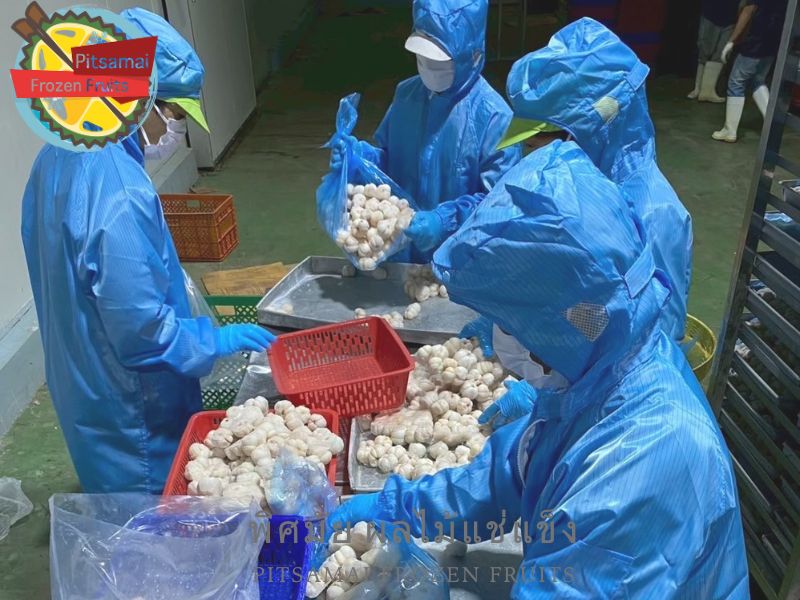 โรงงานแกะเนื้อมังคุดแช่แข็งบรรจุเป็นแพ็ค