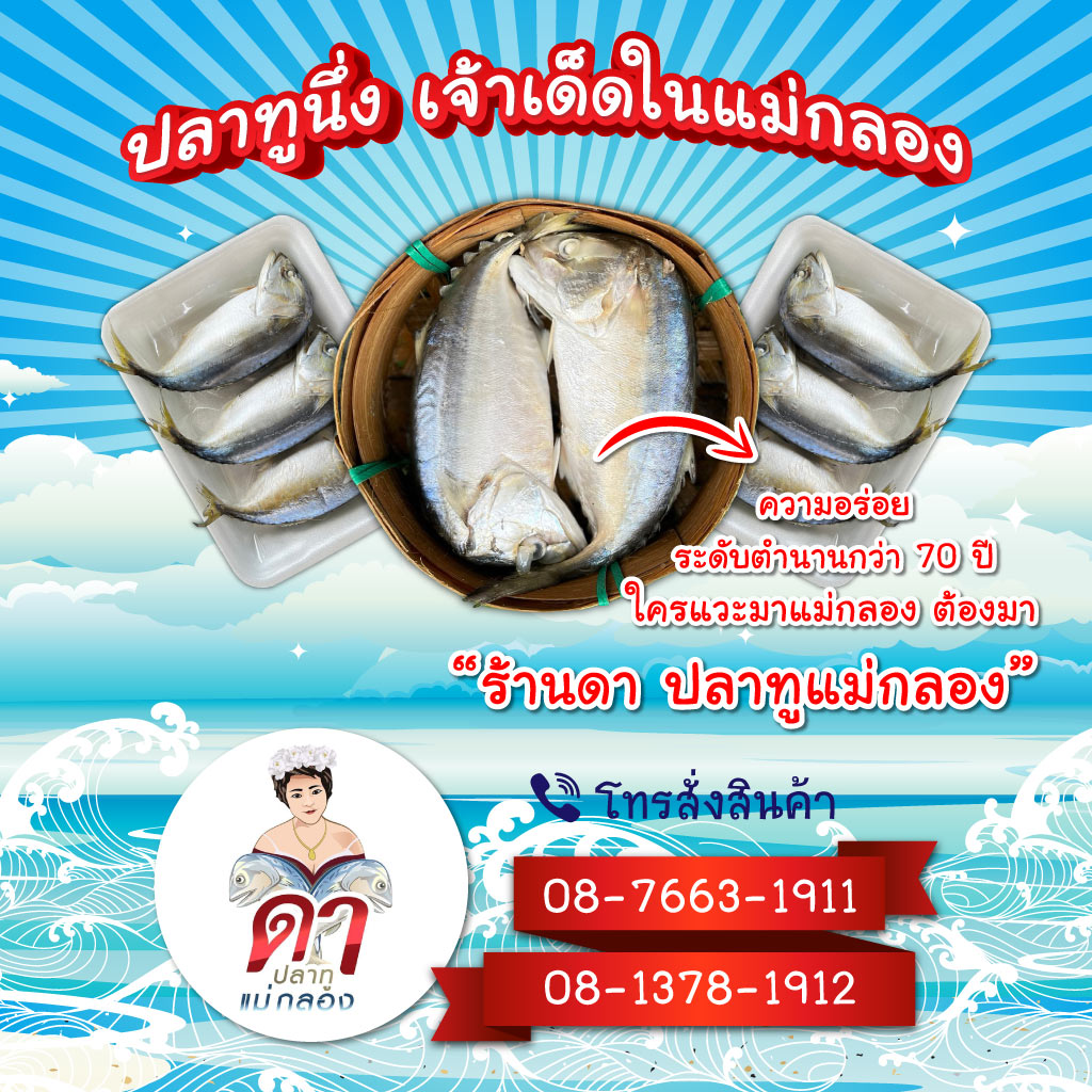 ดาปลาทูแม่กลอง โรงงานปลาทูแม่กลอง