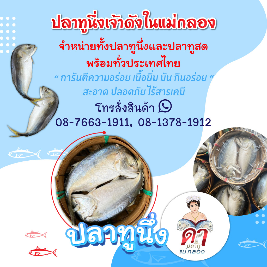 ดาปลาทูแม่กลอง ขายส่งปลาทูแม่กลอง
