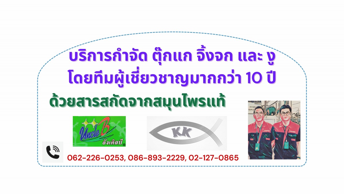 กำจัดปลวกและป้องกันสัตว์พาหะนําโรค