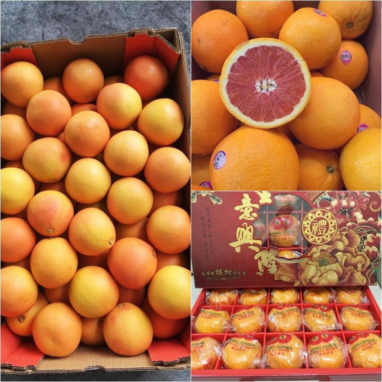 ขายส้มนำเข้า ตลาดไท