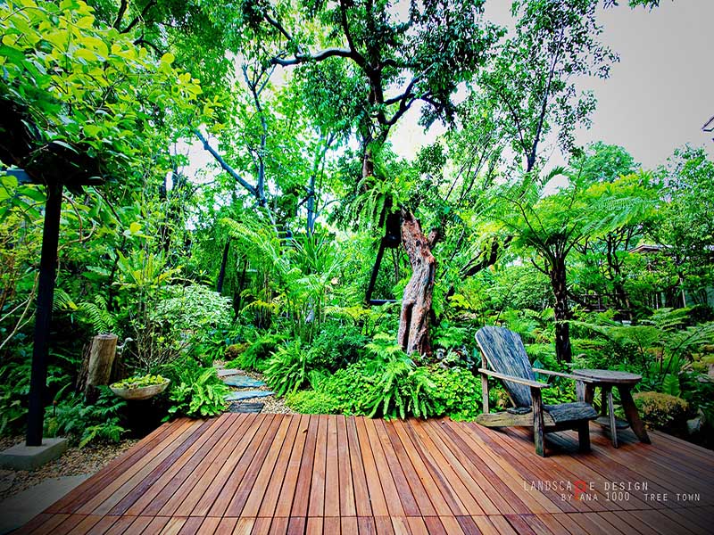 ตกแต่งสวน กรุงเทพฯ ตกแต่งสวน กรุงเทพฯ