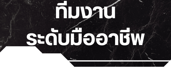 ทีมงานมืออาชีพ