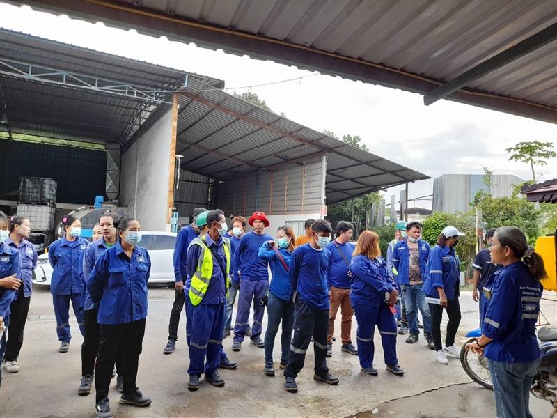 กรีนเวส กรีนเวส