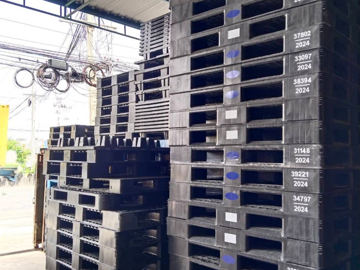 พาเลทมือสองราคาถูก