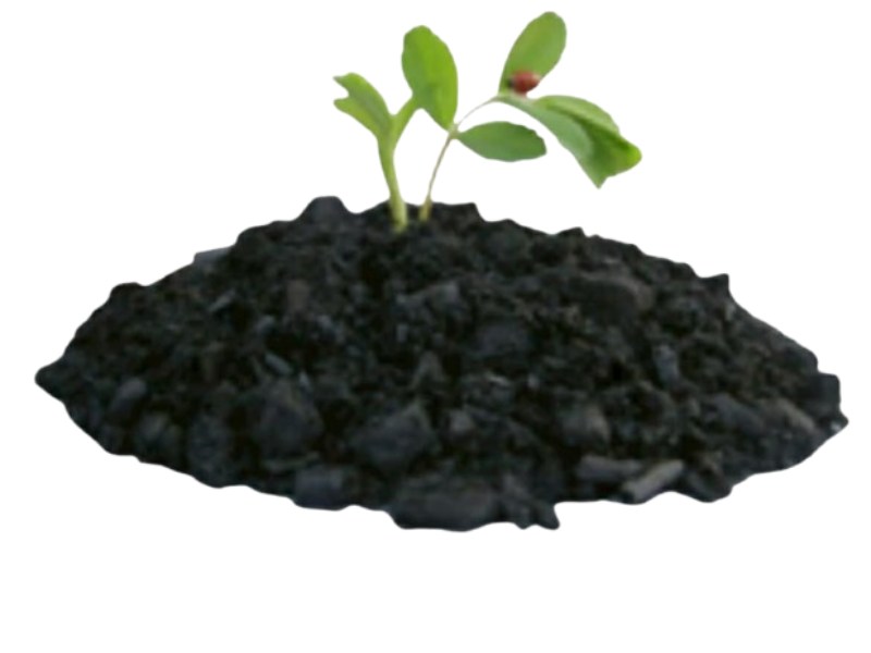 ถ่านปลูกต้นไม้ ชีวภาพ