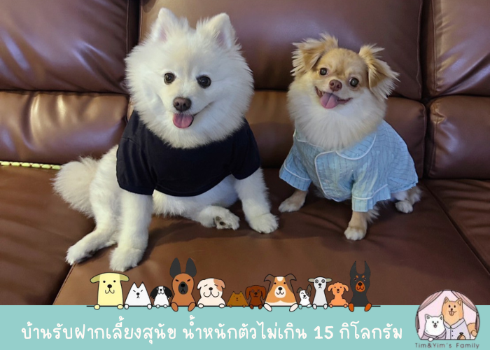 รับฝากเลี้ยงสุนัข สมุทรปราการ