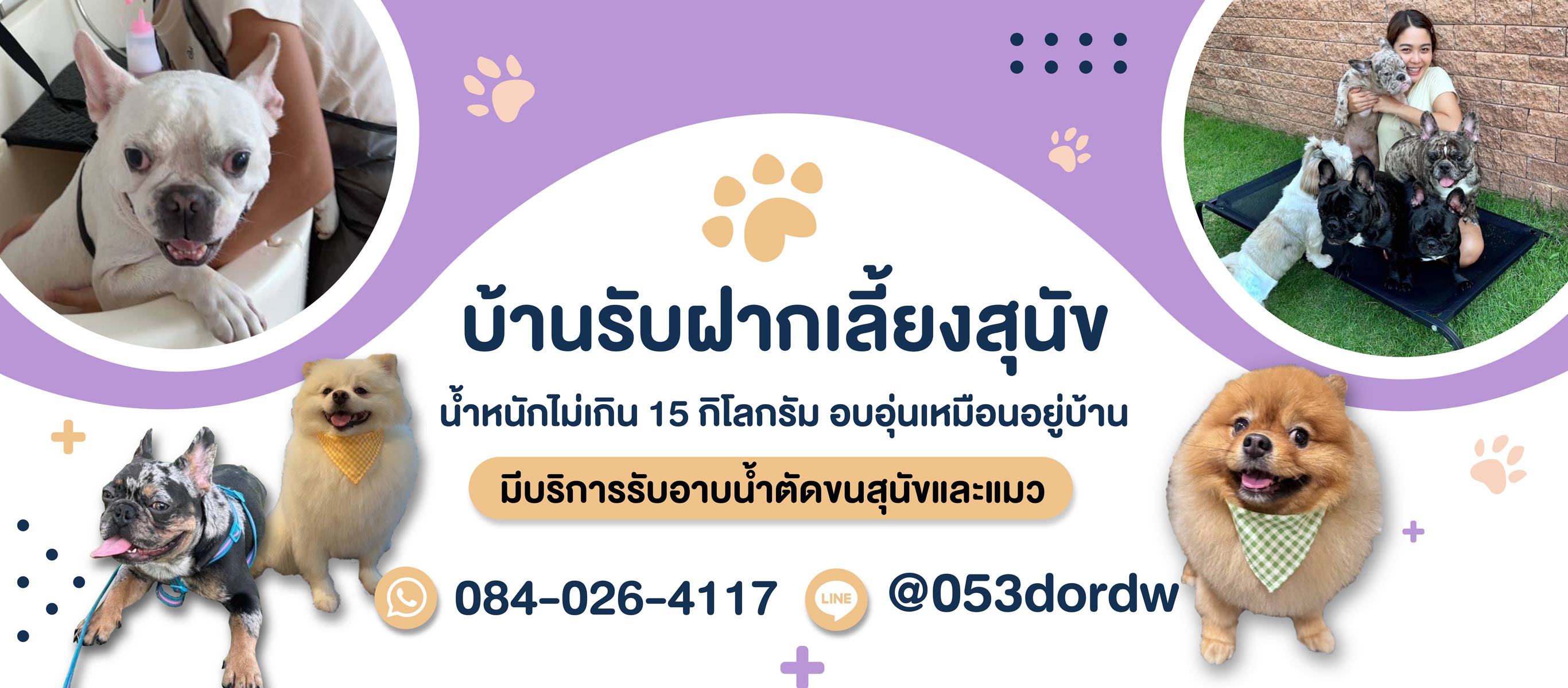 รับฝากเลี้ยงสุนัข สมุทรปราการ Tim&Yim Family