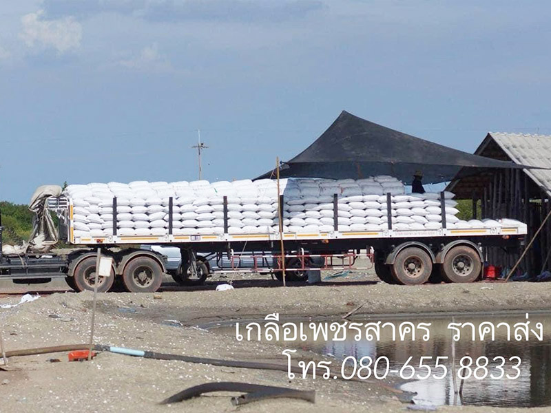 โรงงานผลิตเกลือสมุทรราคาถูก