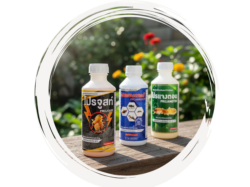 ใช้น้ำยากำจัดปลวกที่มีคุณภาพ