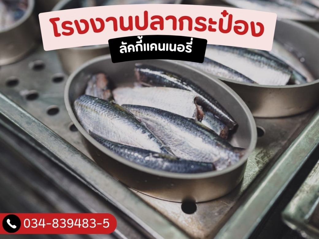 โรงงานขายส่งปลากระป๋อง สมุทรสาคร โรงงานขายส่งปลากระป๋อง สมุทรสาคร
