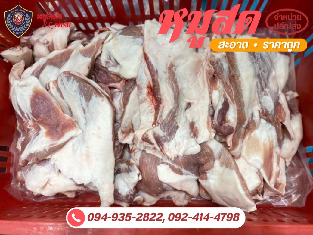 ชิ้นส่วนหมูทุกส่วน ราคาถูก ชิ้นส่วนหมูทุกส่วน ราคาถูก
