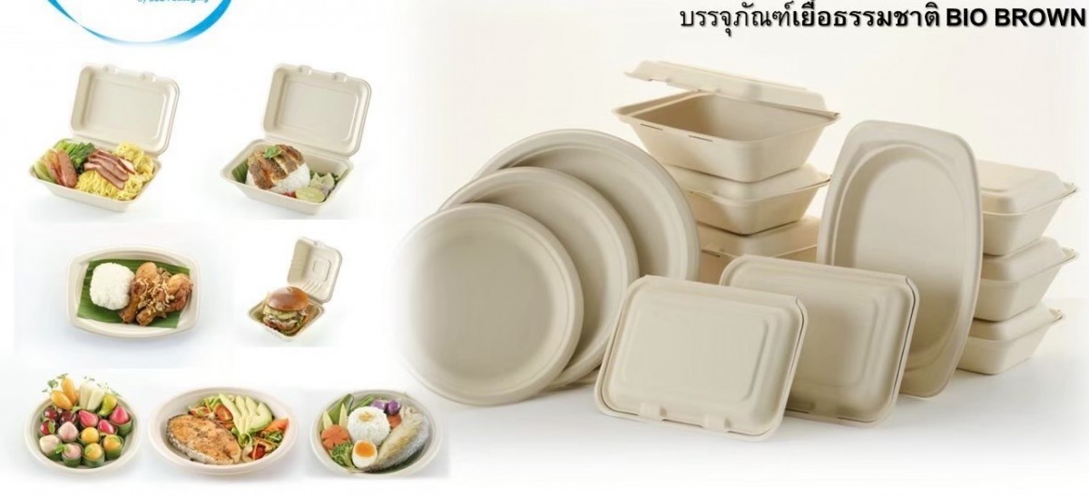 โรงงานผลิตบรรจุภัณฑ์กระดาษใช้แล้วทิ้ง โรงงานผลิตบรรจุภัณฑ์กระดาษใช้แล้วทิ้ง