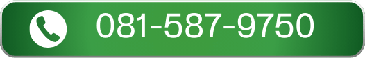 081-587-9750