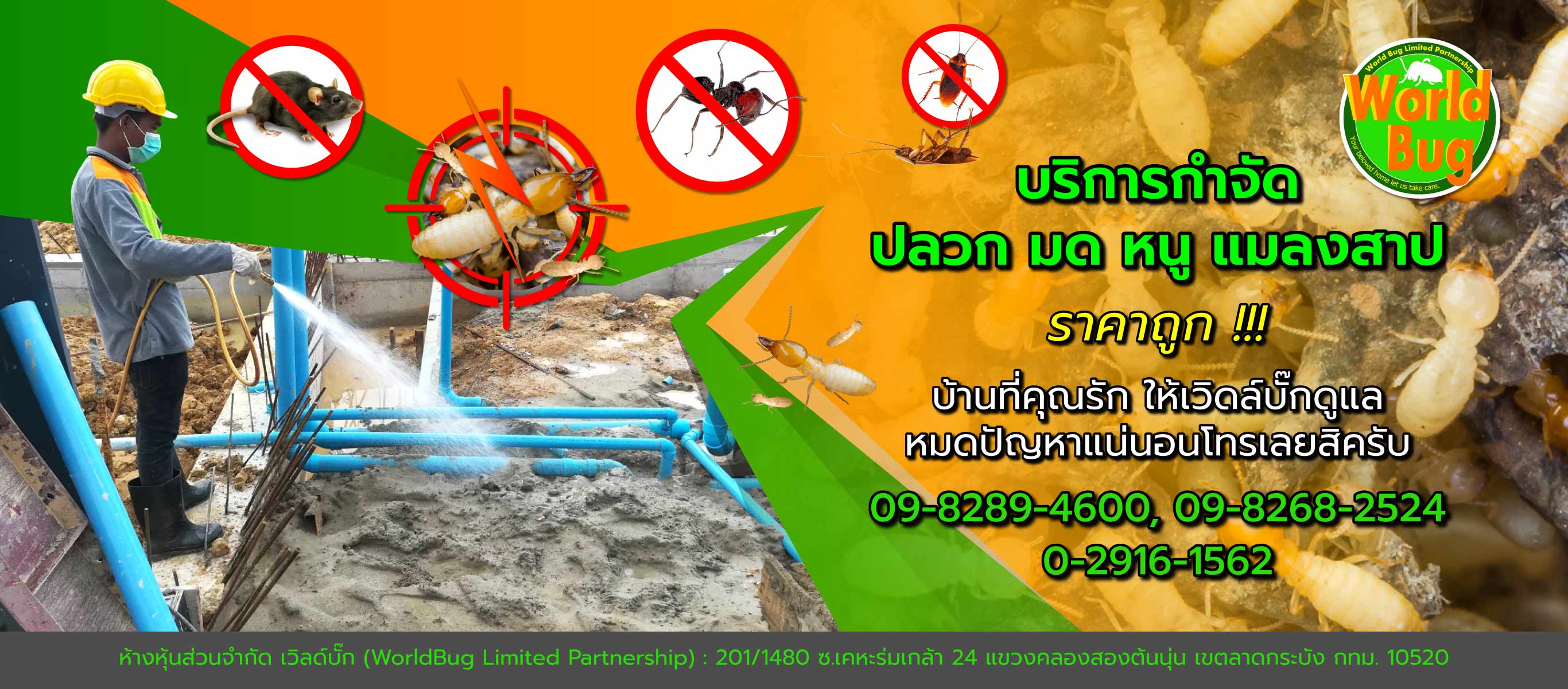เวิล์ดบั๊ก บริษัทกำจัดปลวกฉีดปลวกราคาถูก