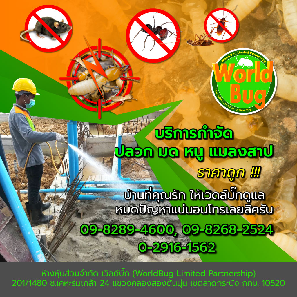 เวิล์ดบั๊ก บริษัทกำจัดปลวกฉีดปลวกราคาถูก