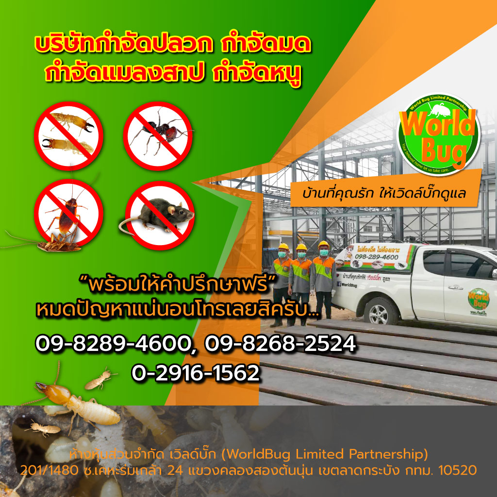 เวิล์ดบั๊ก บริษัทกำจัดปลวกฉีดปลวกราคาถูก