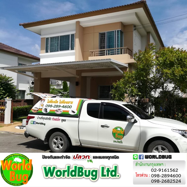 บริษัทกำจัดปลวกใกล้ฉัน กทม. เวิล์ดบั๊กมีหน่วยเคลื่อนที่เร็ว