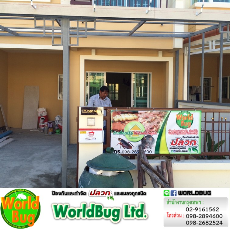 บริษัทรับฉีดปลวก