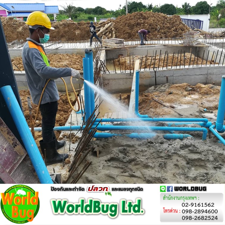 ปลูกบ้านหลังใหม่ ให้เวิล์ดบั๊กติดตั้งระบบท่อปลวก