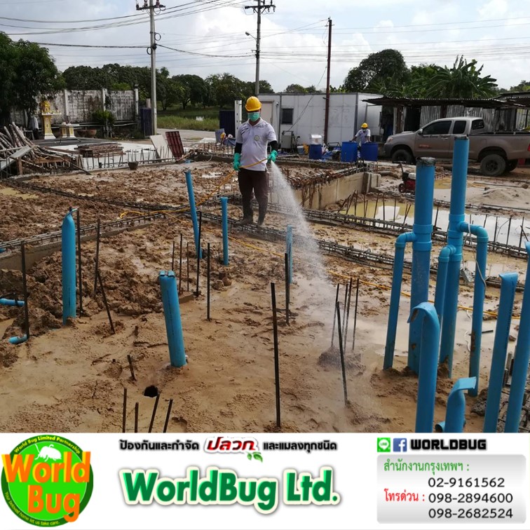 ฉีดปลวกราคาถูก รับฉีดปลวกราคาไม่แพง รับ กำจัดปลวก ราคาถูก