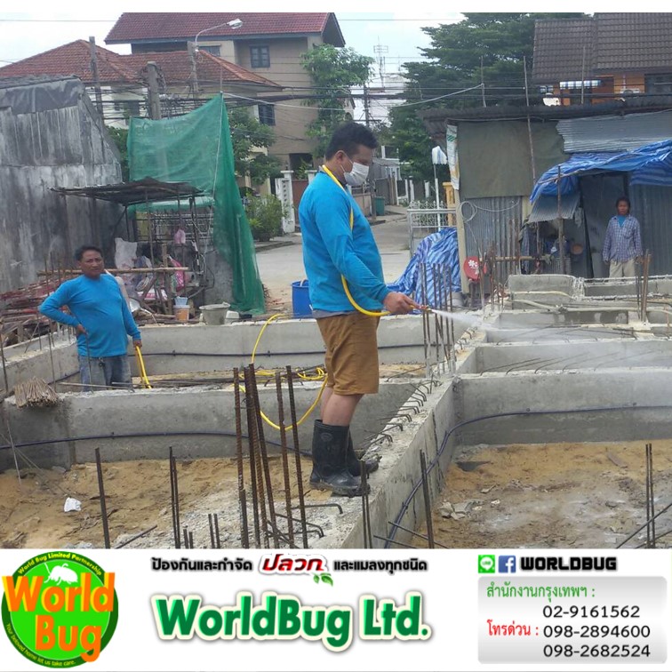 วางท่อกําจัดปลวก ราคาเท่าไหร่ รับงานติดตั้งท่อปลวก