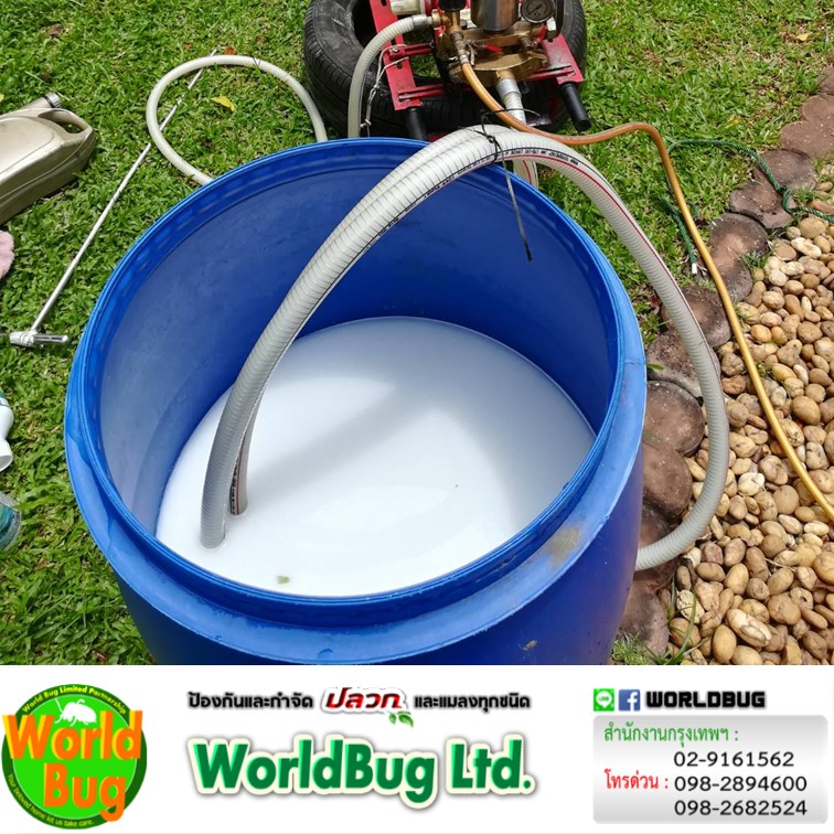 บริษัทรับกำจัดมดใกล้ฉัน กทม. บริการกำจัดมด ราคาถูก