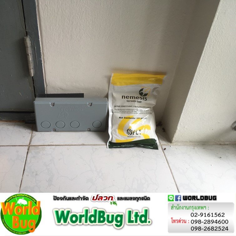 เวิล์ดบั๊กแก้ปัญหาปลวกขึ้นบ้านด้วยระบบเหยื่อกำจัดปลวก เนเมซิส NEMESIS
