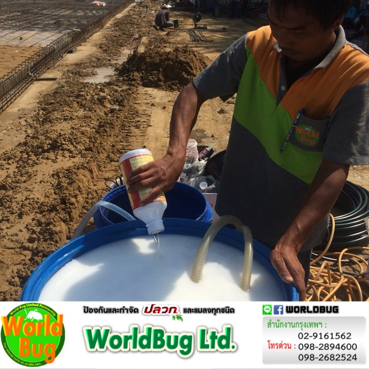 กำจัดปลวก กรุงเทพ รับกําจัดปลวก ใกล้ฉัน บริษัทกําจัดปลวก ราคาถูก