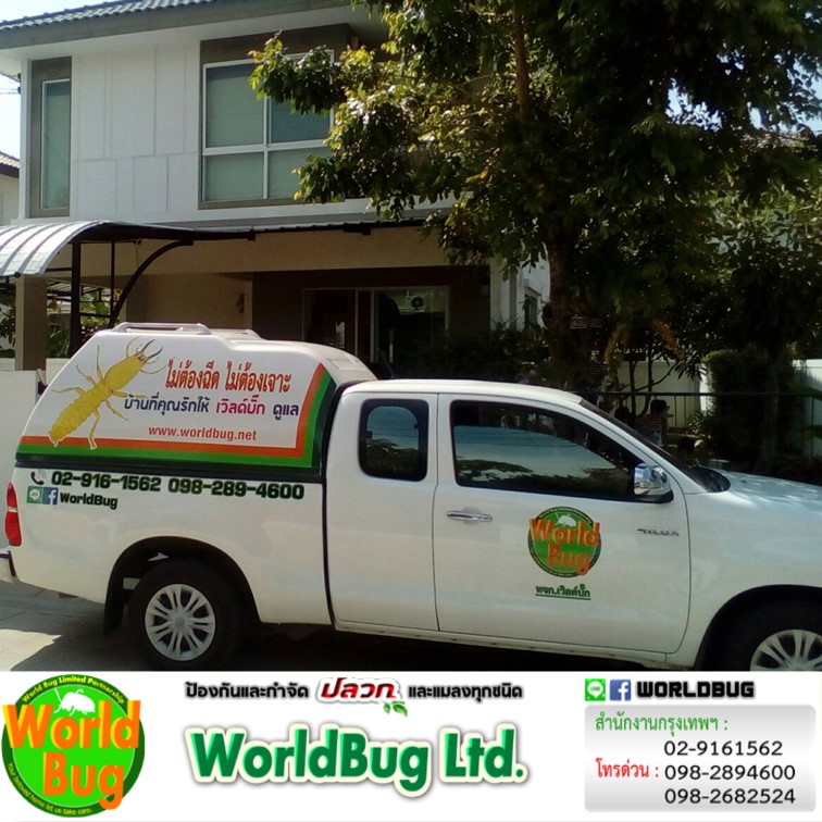 บริษัทกำจัดปลวกใกล้ฉัน กรุงเทพ ฉีดปลวกราคาถูก