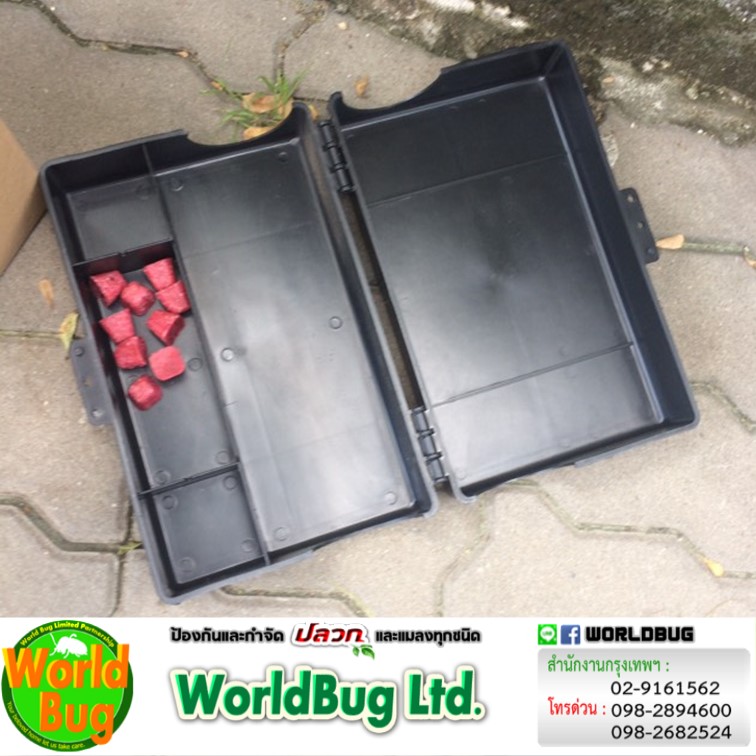 เวิล์ดบั๊กเป็นมืออาชีพรับกำจัดหนูบ้าน กำจัดหนูซ่อนตัวตามท่อ 