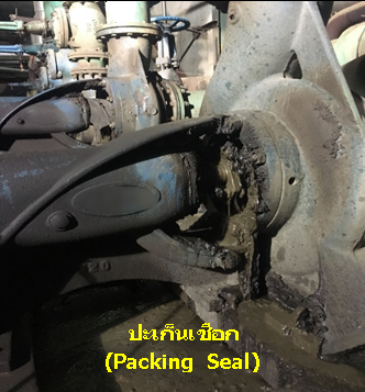 ปะเก็นเชือก ปะเก็นเชือก